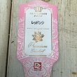 画像6: 王冠ラベル　エケベリア　レッドソラ（3.0号）  (6)