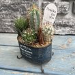画像3: サボテン寄せ植え D ネイビー (3)