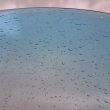 画像5: ガラスボウル (5)