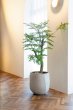 画像2: リーヴァ バルーン アンティークホワイト　44cm　FRP製 (2)