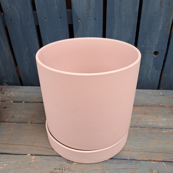 画像3: 寄せ植え鉢  ピーチピンク大 (3)