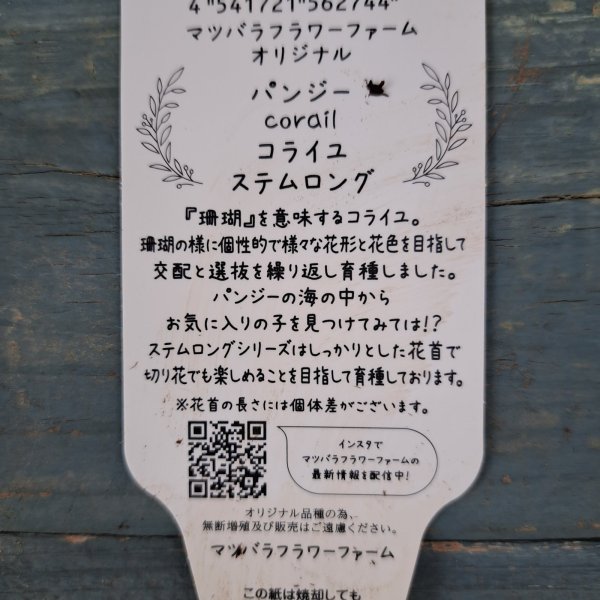 画像3: フリルパンジー　コライユ　ステムロング D（3.0号ロング） (3)